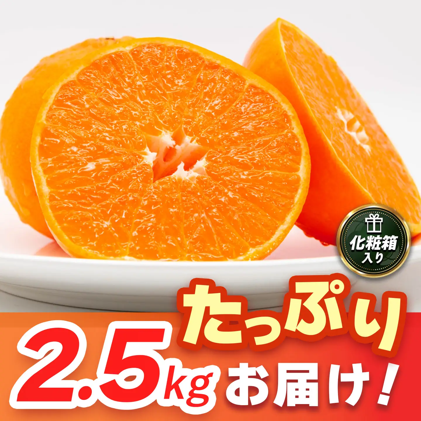 【2027年2月上旬より発送開始】【麗紅】はまさき 2.5kg(H116144)