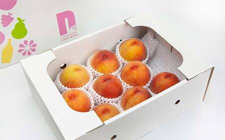≪2026年先行予約≫【仲野観光果樹園】ご家庭用 山形県産 おまかせ 黄桃 3kg(6～12玉) 2026年8月上旬から順次発送 F2Y-6124