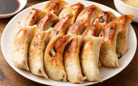 【3ヶ月定期便】ラーメン屋さんの焼き餃子（30個×3回） 合計90個 餃子 冷凍 レンジ調理