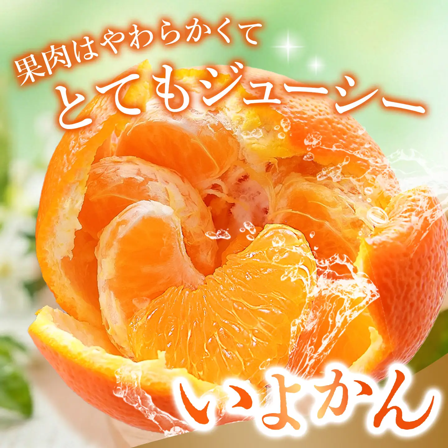 【2027年1月中旬より発送開始】伊予柑orポンカン 約10kg(H116157)