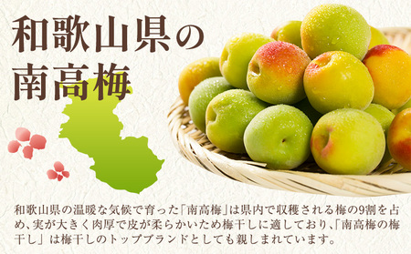 梅 紀州南高梅 プレミアム 塩分 約3% 850g