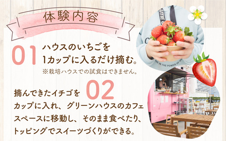 いちご摘み＆スイーツづくり体験券　2名様分 いちご狩り 行事