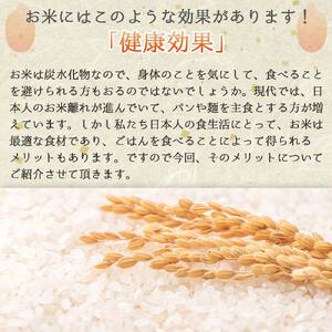【きぬむすめ】令和７年産 白米30kg【5営業日以内発送】