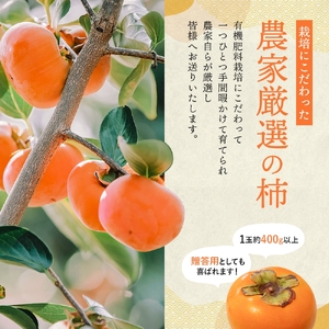 柿 希少【輝太郎】大玉6個～7個 コクのある甘さ！こだわり農家厳選【2026年9月末～10月末頃に順次発送予定】【KG24】【BK024-kgr018】