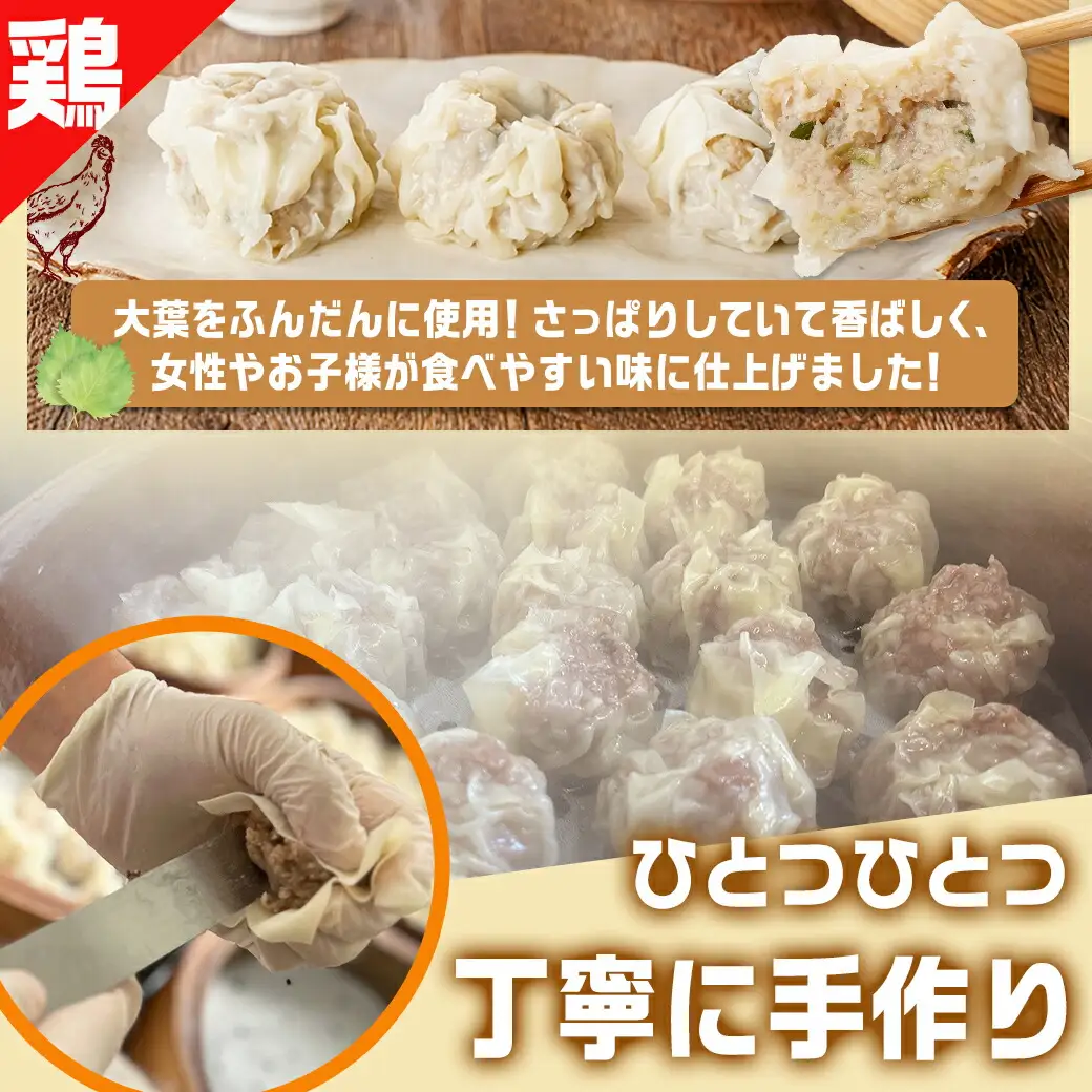 手作り☆牛・豚・鶏しゅうまい&鶏塩焼きセット〔AA-L902〕_(都城市) 国産豚/鶏/牛 シュウマイ 手作りしゅうまい 若鶏塩焼き セット 真空パック
