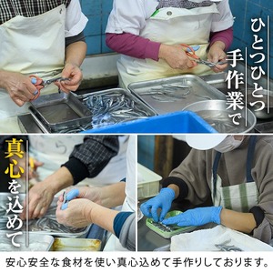 さつまあげ(4種セット・合計18個) さつまあげ さつま揚げ 薩摩揚げ つけあげ 練り物 練物 おかず おつまみ 海産物 プレーン ゴボウ チーズ ダンガン 煮卵 贈答 ギフト【椎木水産】akn054-04