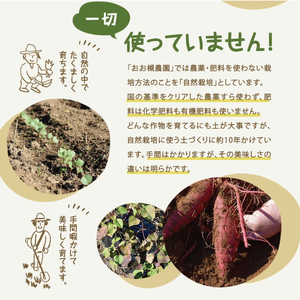 訳あり さつまいも 5kg 生いも 自然栽培  紅はるか さつまいも
