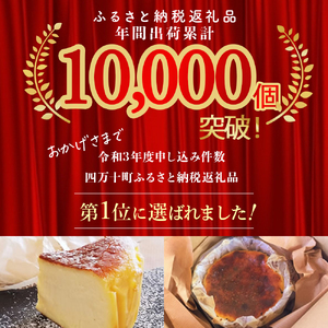 バスクチーズケーキ 四万十の米粉入り 2個セット（4号 直径約12cm） チーズケーキ ケーキ Bmu-A79