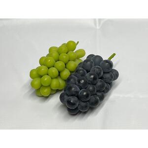 【2026年度_先行予約】【ご家庭用】ぶどう食べ比べセット 約3kg〔2026年8月中旬より順次発送〕