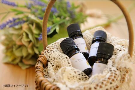 レディースドック＜コース3＞感染症チェックB：おりもの（クラミジア、淋病検査）アロマトリートメントセット