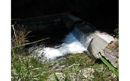 BH2　【一日一組限定】ルアーフライ専用　管理釣り場　一日貸切り権　【 釣り つり 体験 チケット 渓流釣り アマゴ フライフィッシング 竿 ルアー フライ 限定 貸切】