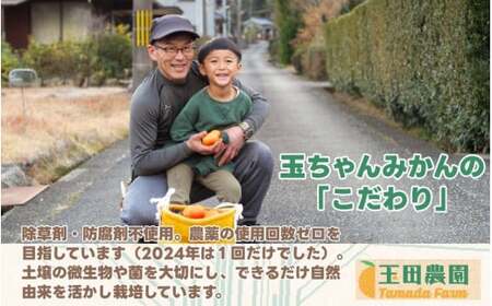 有田 みかん 旨時 体に優しい玉ちゃんみかん 2kg / 温州みかん 有田みかん 甘い 和歌山 柑橘 ※2026年12月初旬～2027年2月中旬に順次発送 【tmd004-cu-2】