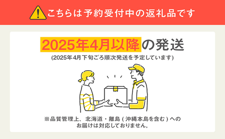【先行予約】完熟冷凍いちご 【600g×3袋】計1.8kg いちご 苺 ストロベリー 冷凍 フローズン 美味しい 甘い 大粒 大きい 果物 フルーツ 数量限定 farmいちごろ 愛知県 常滑市