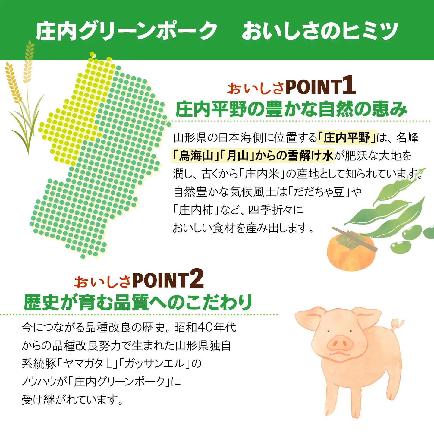 庄内グリーンポークの小間切れ 1.5kg(500g×3パック) | 山形県 鶴岡市 国産 豚肉 ご当地 お取り寄せ グルメ お肉 こま切れ 豚こま 豚コマ 豚小間 ぶた ブタ おいしい 美味しい へルシー A01-304