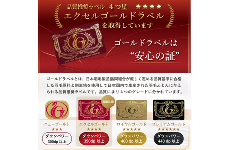 【春夏用】洗える羽毛布団 ダブル 肌掛け ダウン 夏 春 ホワイトダックダウン 85% 0.5kg (無地 ブラウン) [川村羽毛 山梨県 韮崎市 20745029]