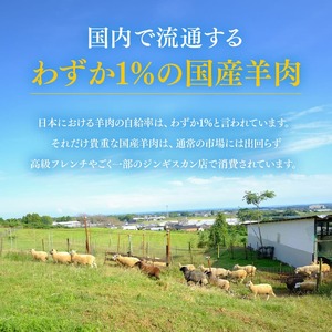宮崎県産羊肉　寿ジンギスカン600g（300g×2）【 肉 羊肉 国産 九州産 川南町産 ジンギスカン 羊 ひつじ 味付き 】