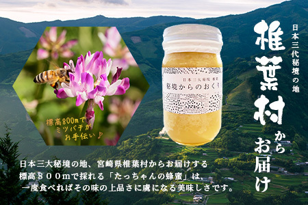 【無添加 非加熱】標高800m たっちゃんのこだわり蜂蜜【170g×2本】(送料無料 宮崎県 椎葉村 秘境 蜂蜜 はちみつ ハチミツ みつばち ミツバチ 伝統的 養蜂 国産 天然 百花蜜 巣箱 数量限定 季節 希少 防災 備蓄 170g 340g) TN-05