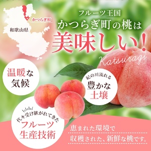桃　桃約2kg （6個~9個）和歌山県産【先行予約】【kgr001A】