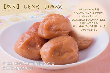 紀州南高梅つぶれ梅詰合せ | 梅干し 食べ比べ