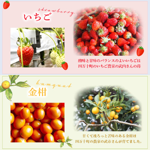 四万十ショコラシュトーレン（ホール）　Ikg-108／ シュトーレン スイーツ お菓子