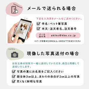 「ペットチャーム」1個 お仕立券 ku072-026-r
