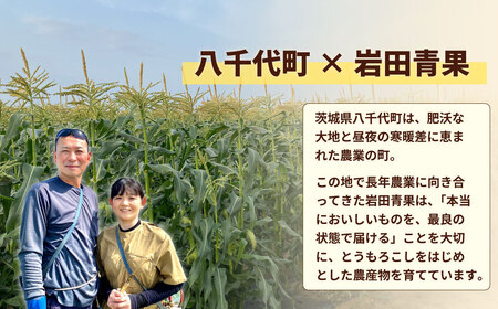 とうもろこし ゴールドラッシュ 3.5kg 茨城県産 トウモロコシ 深夜採り 朝出荷