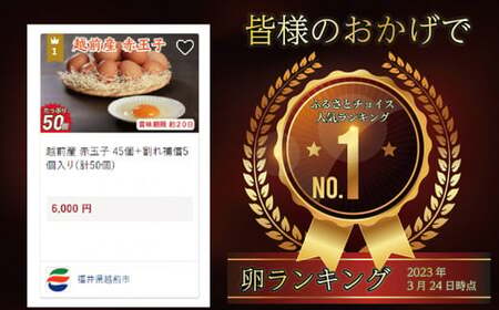 越前産 赤玉子 50個（45個＋割れ補償5個入り） 【冷蔵・卵】
