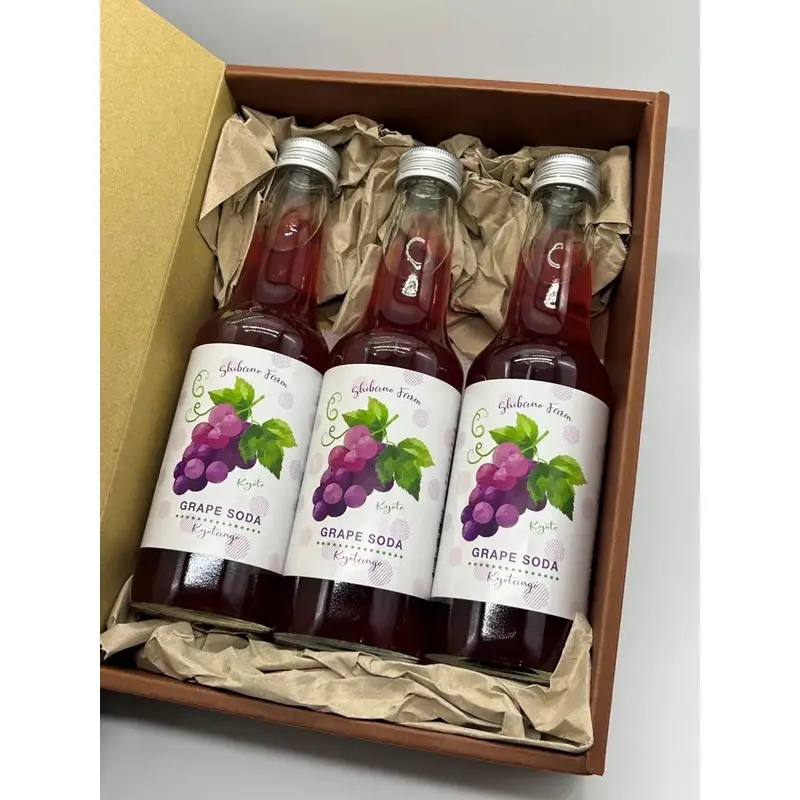 京丹後のぶどう炭酸ジュース（ソーダ） 小瓶3本入り（2026年11月中旬～発送）京丹後 ぶどう 葡萄 炭酸ジュース ソーダ しばの 飲料 ジュース ふるさと納税 ぶどう ふるさと納税 ジュース