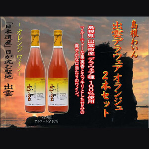 島根わいん　出雲デラウェア　オランジュ　2本セット