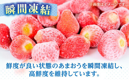 福岡県産 冷凍あまおう 250g（250g×1個）[ABEB024] いちご イチゴ 苺 果物 フルーツ [ABEB024] 