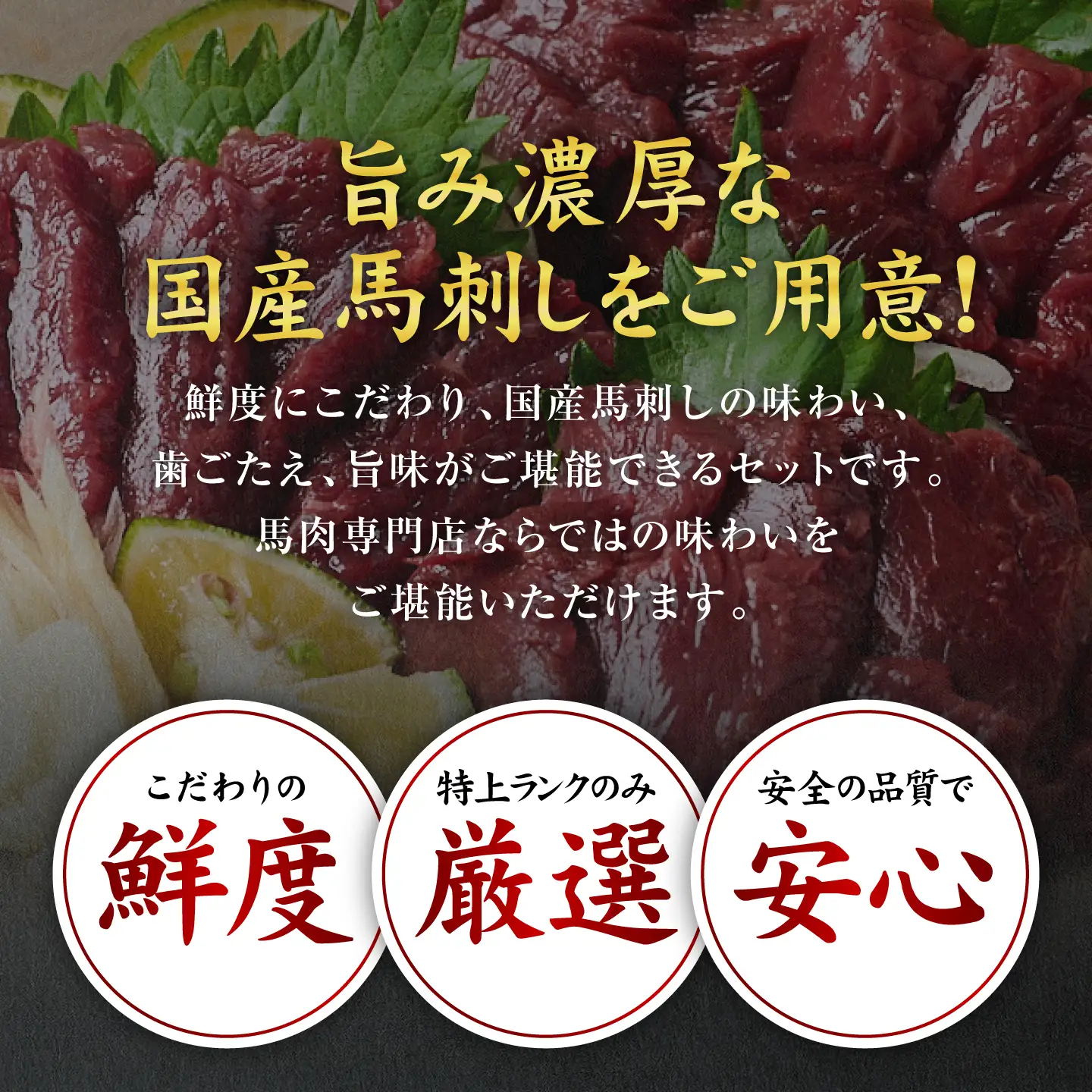 馬刺し 国産馬刺しブロック 400g 馬刺し専用タレ付き 馬刺し