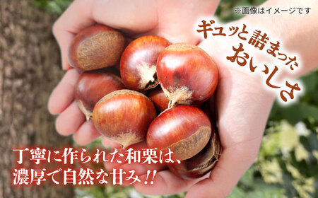 先行予約 むき栗 約750ｇ（約250g×3pc） 【すみれファーム】[ZEP064]