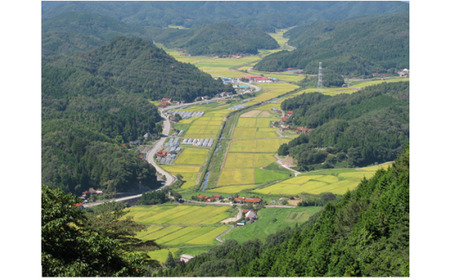 A116 【定期便】阿武川源流米コシヒカリ玄米60㎏(10kg×6回)