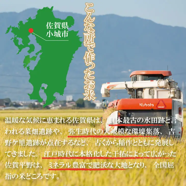【6月配送】佐賀ブランド米「さがびより10kg（5kg×2）潮風F 白米 C280-001 