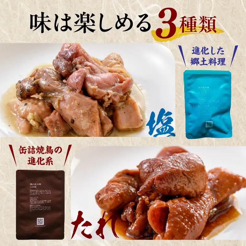 3種の鶏の炭火焼セット(合計16パック 1.6kg) 鶏 常温保存 長期保存 備蓄 湯せん レンチン 塩味 ガーリックペッパー味 タレ味 ニンニク にんにく 胡椒 炭火焼 炭火焼き 鶏 鶏肉 国産 国産鶏肉 手作業 簡単調理 手軽 ストック 宮崎グルメ グルメ 小分け