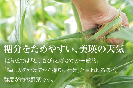 とうもろこし ≪令和8年産予約受付≫ スイートコーン(黄12本)  朝もぎとうもろこし   [013-91]