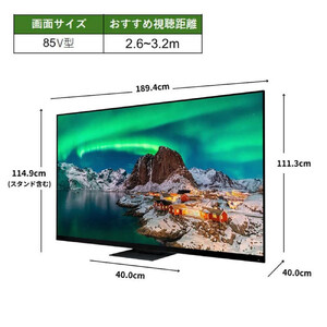 TVS REGZA【標準設置費込み】4K Mini LED液晶テレビ REGZA ( レグザ