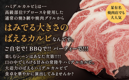 【茨城県共通返礼品】茨城県産 ハミデルカルビ1㎏ ｜ カルビ かるび カブリ 部位 ゲタ 中落カルビ リブ芯 リブ巻き 希少部位 高級部位 リブロース 牛肉 牛 大きい とろける 甘み はみでる 食卓 バーベキュー BBQ パーティー】