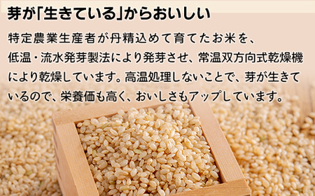 北海道米の発芽玄米「ななつぼし・ゆめぴりか」食べ比べセット MKWAH009