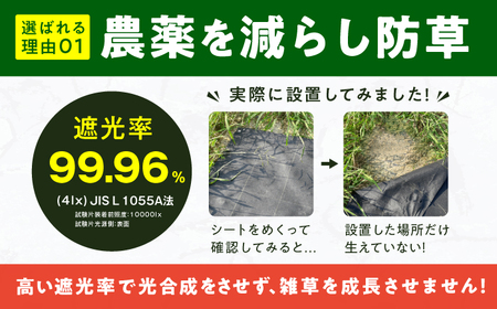 防草アグリシート（BB2218・耐久目安10年・幅1.0m×長さ30m）/ 防草シート 除草[AFCA013]