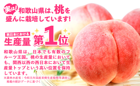 桃 かつらぎ町産桃 約2kg