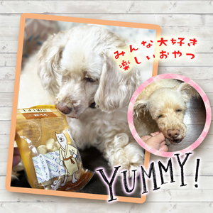 チョイあげ 牛太郎 10パック 1袋50ｇ 10P わんちゃんのおやつ ペット用 おやつ ごほうび しつけ ペットフード トリーツ