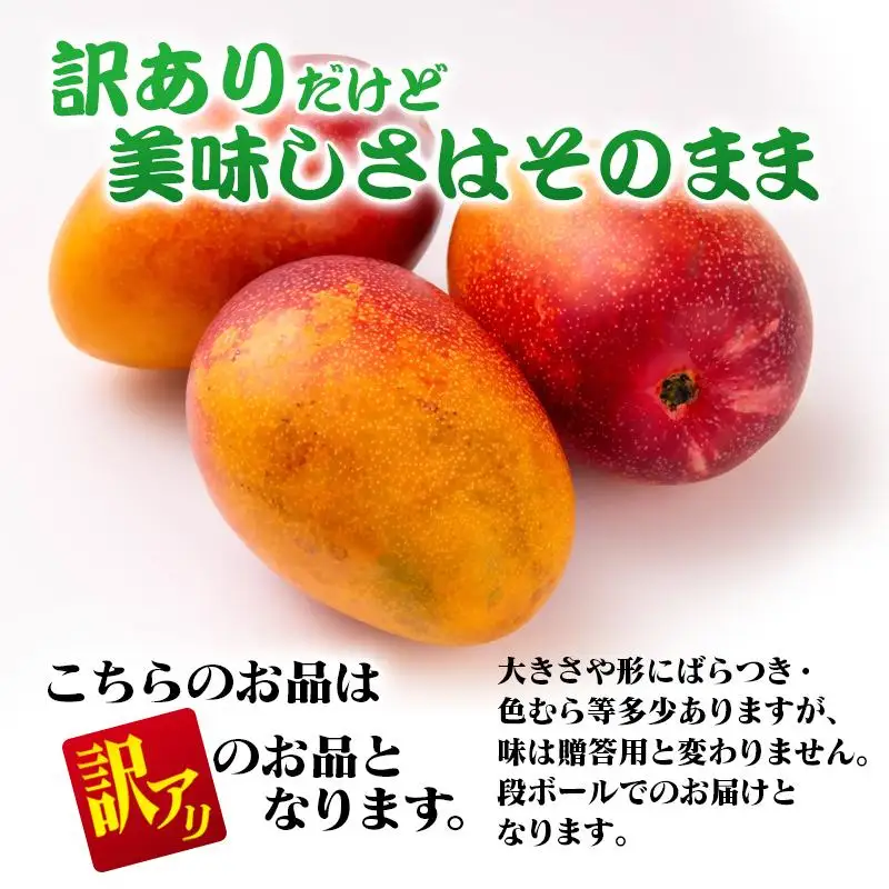 【先行予約】訳あり よくばり完熟マンゴーセット3玉 約1.2kg 宮崎県西都産 生産者直送【マンゴー専門 スターフルーツカンパニ】＜33-1a＞