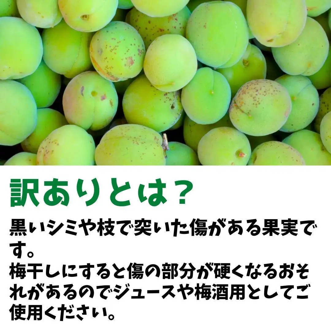 青梅 南高梅 約5kg 訳あり サイズミックス 和歌山県産 A品 梅酒作り用 梅ジュース作り用
