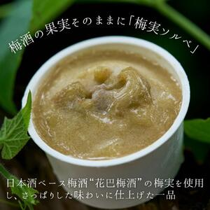 酒蔵アイスセット（酒粕アイス・梅実ソルベ）各3個　計6個《美吉野醸造株式会社》