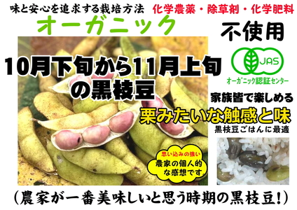 【令和8年10月中旬頃から11月上旬頃発送予定】日本遺産 丹波篠山市 JAS有機栽培 オーガニック黒枝豆（200ｇ×5袋）DRM002