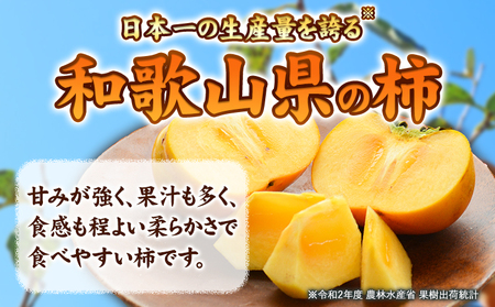 柿 赤秀品 超大玉 刀根早生柿 約1.7kg