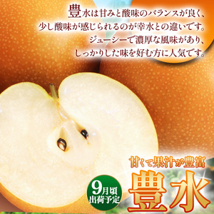 【2026年先行予約】 梨 食べ比べ 定期便 幸水 豊水 にっこり 各5kg【栃木県共通返礼品】P0 栃木県 下野市