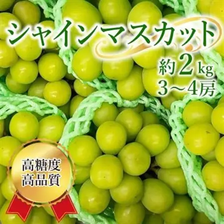 シャインマスカット 約2kg(3～4房)【配送不可地域：離島】【1583277】