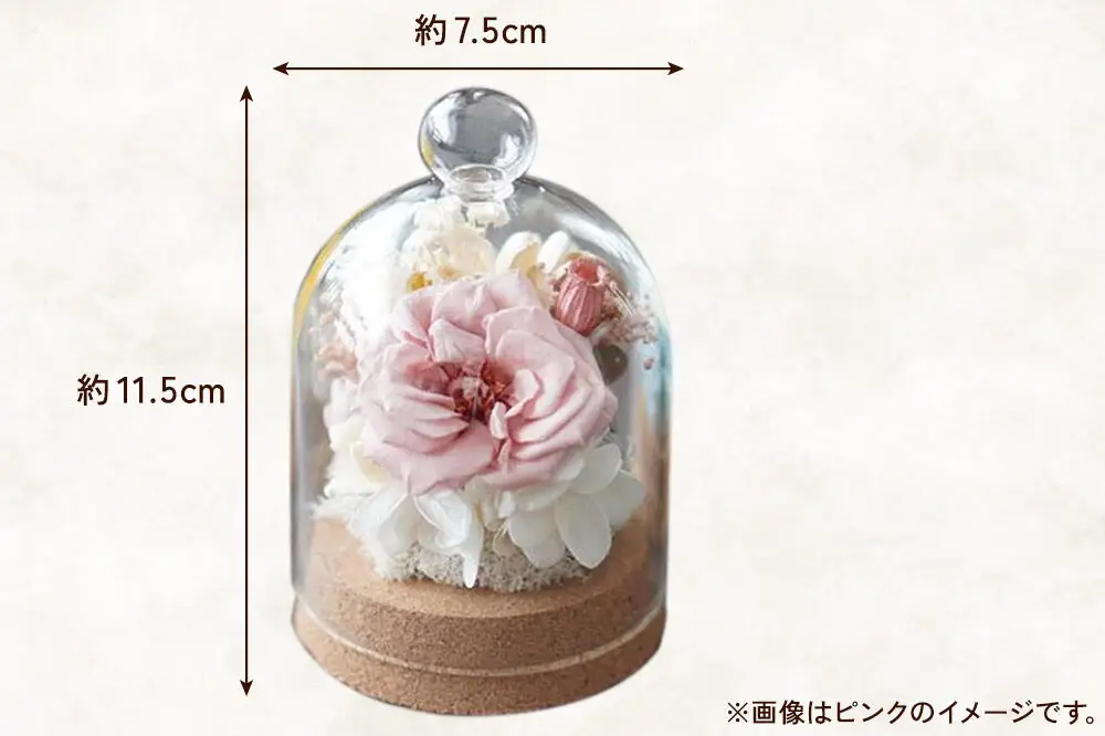 プリザーブドフラワー ガラスドーム【ピンク】約11.5cm×約7.5cm 1個